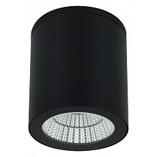 Накладной светильник arte lamp a1813 a1813pf-1bk